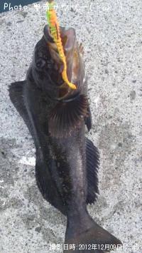 ʥ