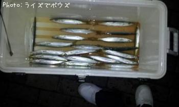 カマス
