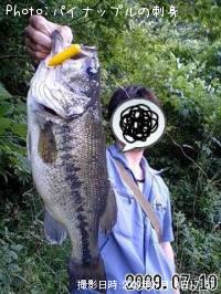 ブラックバス