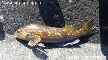 ʥ