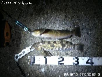 ʥ