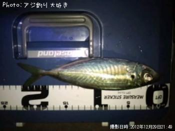 アジ