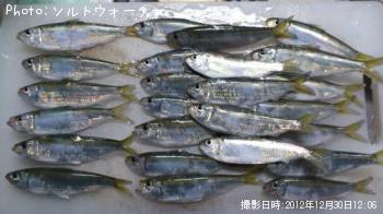サッパ