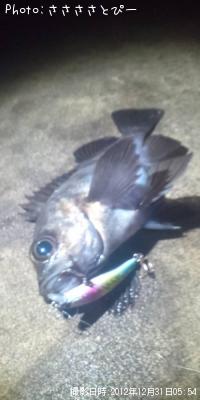 メバル