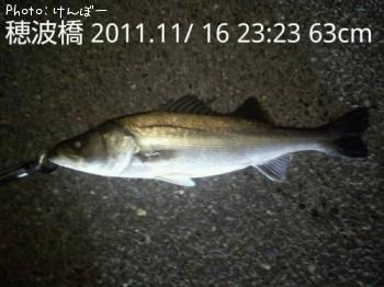 シーバス