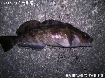 ʥ