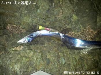 タチウオ