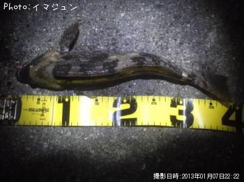 ʥ