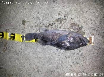 クロソイ