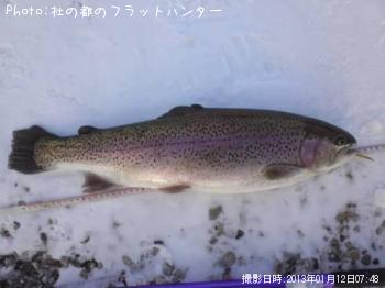 ドナルドソン