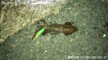 ヒイカ