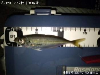 アジ