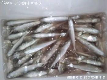 アジ