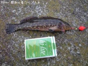 ʥ