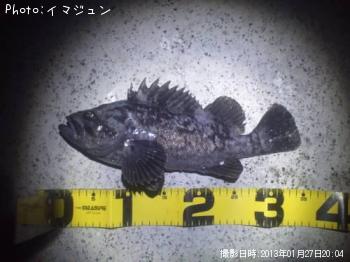 クロソイ