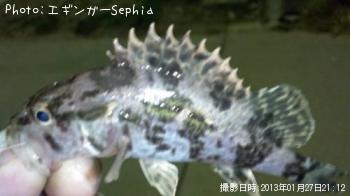 ΥХ
