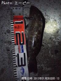 ʥ