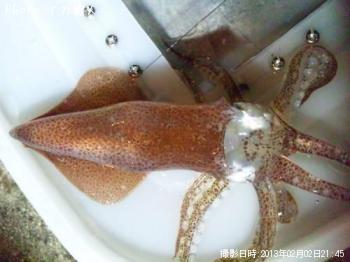 ベイカ