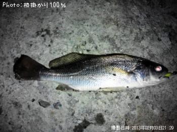 イシモチ