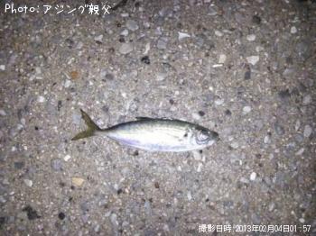 アジ