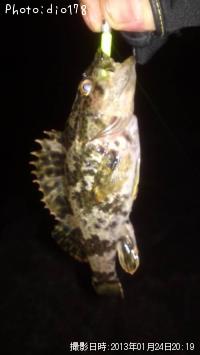 タケノコメバル
