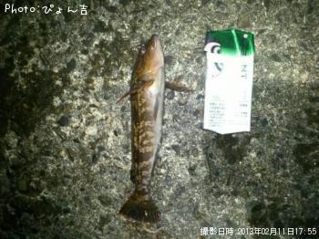 ʥ