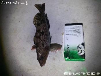 ʥ