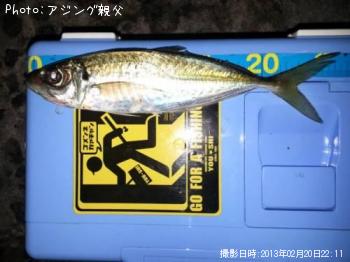 アジ