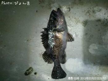 クロソイ