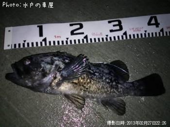 クロソイ