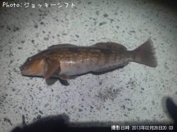 ʥ