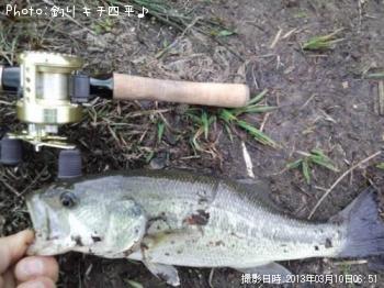ブラックバス
