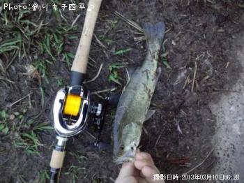 ブラックバス