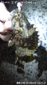 饽