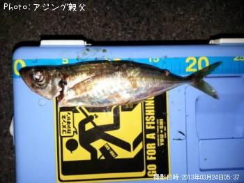 アジ