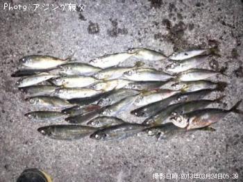 アジ