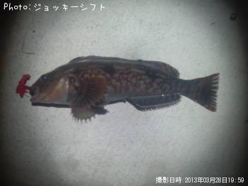 ʥ