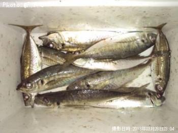 アジ