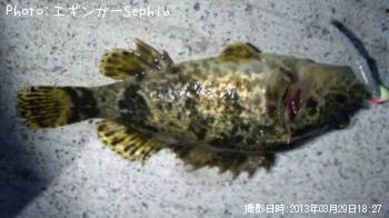 ΥХ