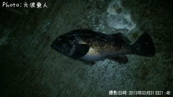 クロソイ