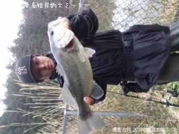 ブラックバス