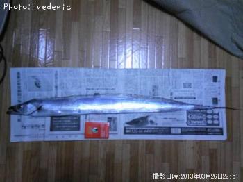 太刀魚