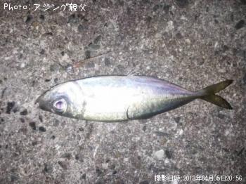 アジ