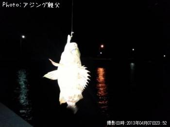 メバル