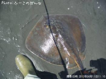 エイ