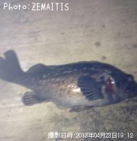 クロソイ