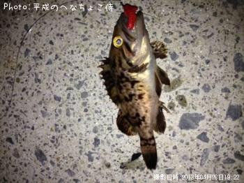 クロソイ