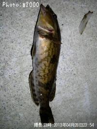 ʥ
