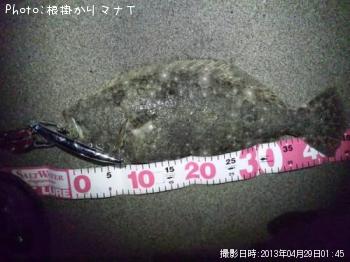 ヒラメ
