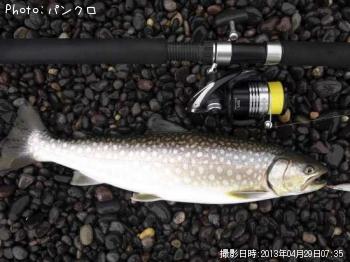 アメマス